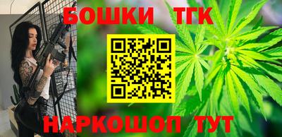 индика Аргун