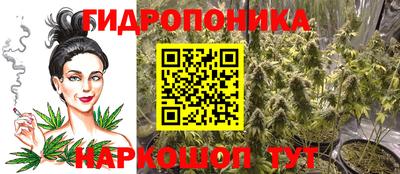 крисы Гусиноозёрск