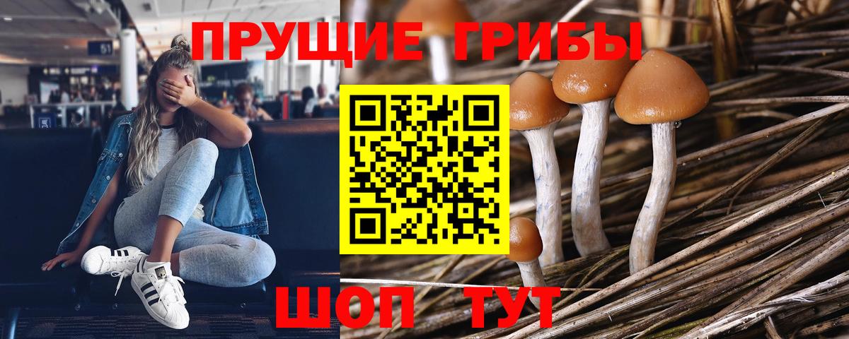 Псилоцибиновые грибы MAGIC MUSHROOMS  Псилоцибиновые грибы Magic Shrooms  Благодарный  Вход с VPN 